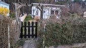 Foto - Kleingarten in einer versteckten Lage abzugeben