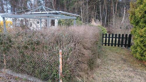 Foto - Grundst&uuml;ck in Hoyerswerda