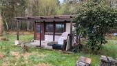 Foto - Kleingarten in einer versteckten kleinen Anlage abzugeben