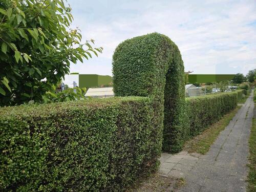 Foto - Kleingarten Cotta - 4.300,00 EUR Kaltmiete, ca.  0,00 m²