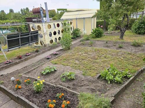 Foto - Grundstück in Dresden zur Miete