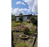 Gepflegter Kleingarten in Dresden-Plauen mit gemauerter Laube