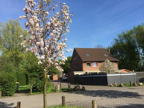 Foto - Doppelhaushälfte am Park - 515.000,00&nbsp;EUR Kaufpreis, ca.&nbsp; 140,00&nbsp;m&sup2;