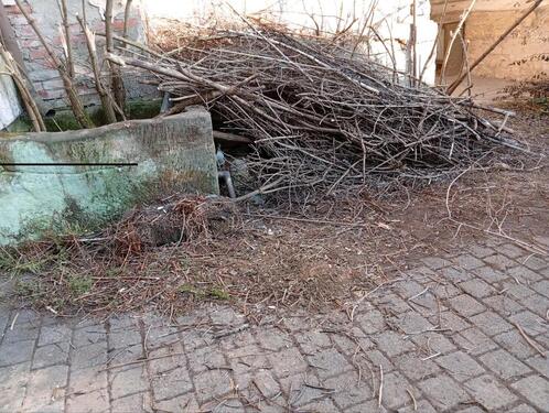 Foto - 5 Zimmer Einfamilienhaus zum Kaufen in Vogtei