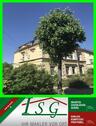 Foto - 1-Raum Wohnung im Villenviertel - 1. OG - ruhige Wohnlage - AB 01.01.2026