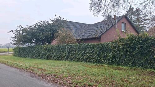 Foto - Einfamilienhaus in Bösel zum Kaufen