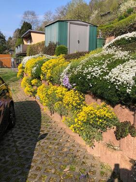 Foto - Einfamilienhaus zum Kaufen in Döbeln