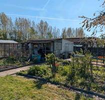 Kleingarten, Schrebergarten in Hildesheim