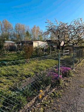 Foto - Grundst&uuml;ck zur Miete in Hildesheim
