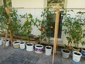 Foto - Einfamilienhaus in Olsberg zum Kaufen