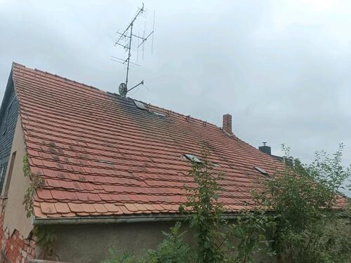Foto - Einfamilienhaus zum Kaufen in Werdau