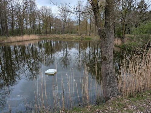 Foto - Grundst&uuml;ck in Marklohe