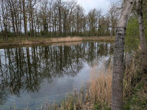 Foto - Grundst&uuml;ck in Marklohe zur Miete