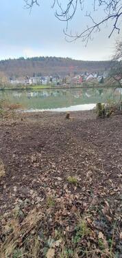 Foto - Freizeitgrundstück direkt am Neckar zu verpachten! Bushcrafting!