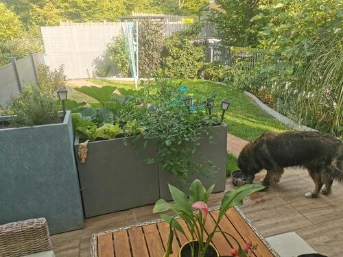 Foto - 4 Zimmer Reihenhaus in Paderborn