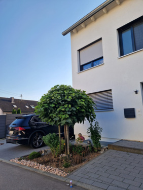 Foto - Moderne Doppelhaushälfte mit Garten bei Marbach am Neckar