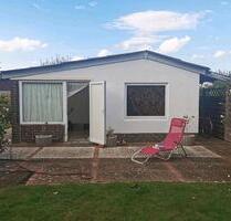 Pachtgarten zu 1.12.zu pachten! 278qm! - Hannover Ahlem-Badenstedt-Davenstedt