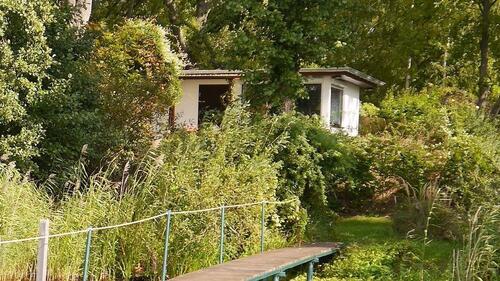 Foto - Einfamilienhaus zur Miete in Werder (Havel)