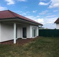 Ab 01.06.26 gepflegte Doppelhaushälfte in Müden (Aller)