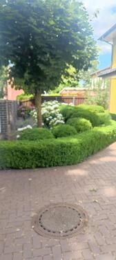 Foto - 4 Zimmer Einfamilienhaus zum Kaufen in Nienburg (Weser)