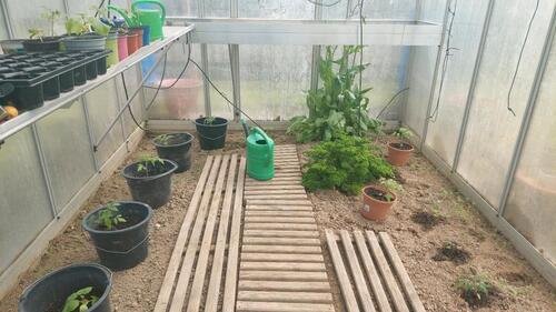 Foto - Grundst&uuml;ck in Barsinghausen