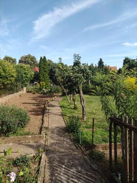 Foto - Einfamilienhaus zum Kaufen in Artern