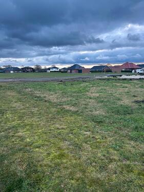 Foto - Bungalow in Dörpen zum Kaufen