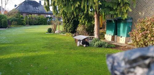 Foto - Einfamilienhaus in Hohenaspe zum Kaufen