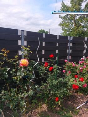 Foto - 4 Zimmer Einfamilienhaus in Hodenhagen