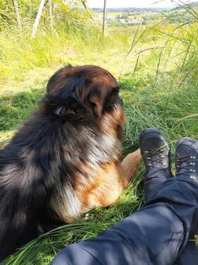 Foto - Ferienhaus in der Eifel, Urlaub mit Hund, Ferienwohnung, Wandern