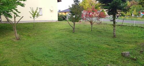 Foto - 4 Zimmer Einfamilienhaus in Lebus