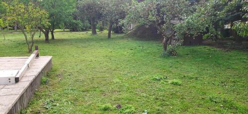 Foto - Einfamilienhaus in Lebus zum Kaufen