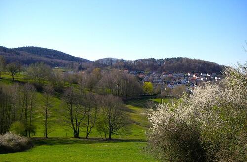 Foto - 7 Zimmer Einfamilienhaus zum Kaufen in Gelnhausen