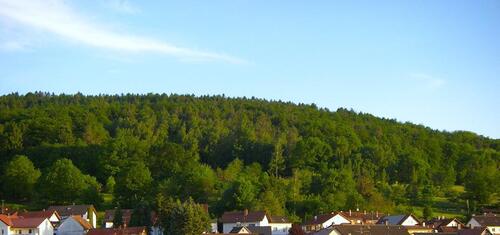 Foto - Einfamilienhaus in Gelnhausen zum Kaufen