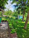 Foto - Einfamilienhaus in Seeland zum Kaufen