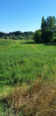 Foto - Einfamilienhaus in Frankfurt am Main