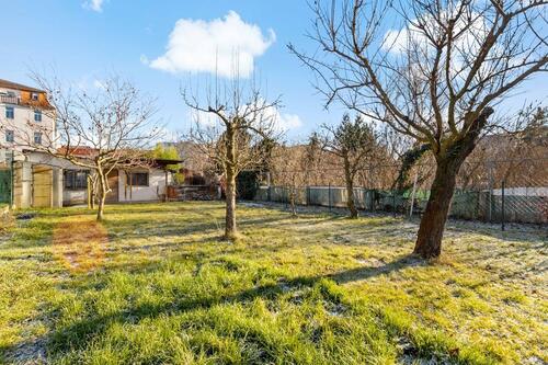 Foto - Stadtleben trifft Gartenidylle – 4-Raum-Wohnung in der nördlichen Innenstadt!