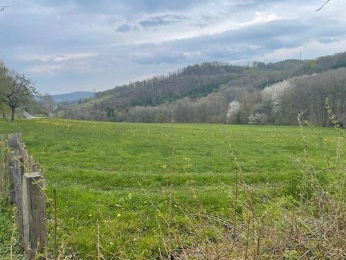 Foto - Wiese zur Heugewinnung - 13,00&nbsp;EUR Kaltmiete, ca.&nbsp; 0,00&nbsp;m&sup2;