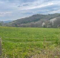 Wiese zur Heugewinnung - 13,00&nbsp;EUR Kaltmiete, ca.&nbsp; 0,00&nbsp;m&sup2; in Herscheid (PLZ: 58849)