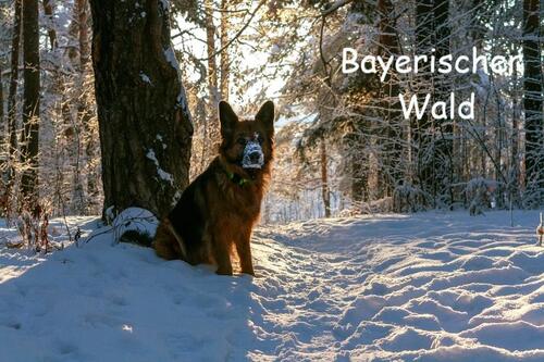 Foto - andere zur Miete in Regensburg