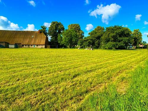 Foto - Bauernhaus, Landhaus in Malchow zum Kaufen