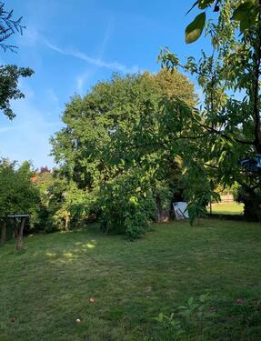 Foto - Mehrfamilienhaus, Wohnhaus in Peine zum Kaufen