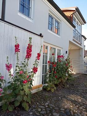 Foto - 2-Zimmer-Wohung in Kappeln-Zentrum, 60qm, sonnig und ruhig