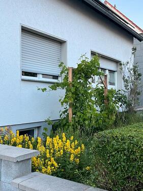Foto - 8.5 Zimmer Einfamilienhaus zum Kaufen in Mandelbachtal