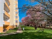 Foto - Sie sind Single? Azubi? Student? Dann ist diese Wohnung mit Balkon genau richtig, Kleine Mühlenbreite 4