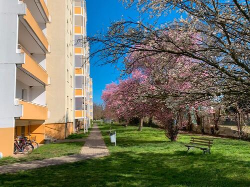Foto - Sie sind Single? Azubi? Student? Dann ist diese Wohnung mit Balkon genau richtig, Kleine Mühlenbreite 4
