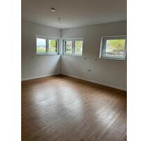 Souterrain Wohnung in Strietwald, Einliegerwohnung, Top Lage! - Aschaffenburg Damm