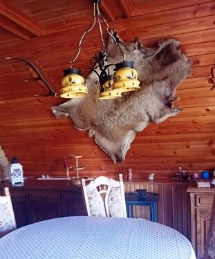 Foto - Einfamilienhaus in Leipzig zum Kaufen