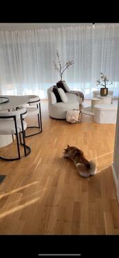 Foto - Moderne 2 Zimmer Wohnung in Ransbach-Baumbach