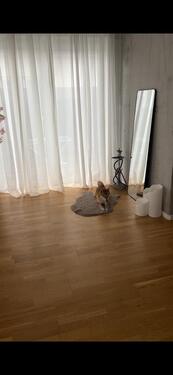 Foto - 2 Zimmer Etagenwohnung in Ransbach-Baumbach